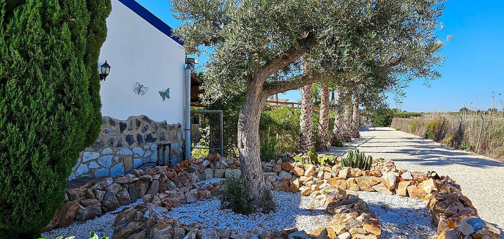 Revente - Finca - Catral