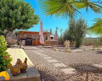 Revente - Finca - Catral