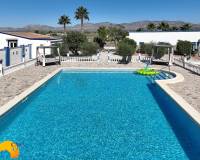 Revente - Finca - Catral