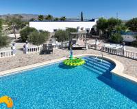 Revente - Finca - Catral