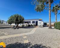 Revente - Finca - Catral