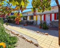 Revente - Finca / Country Property - Catral