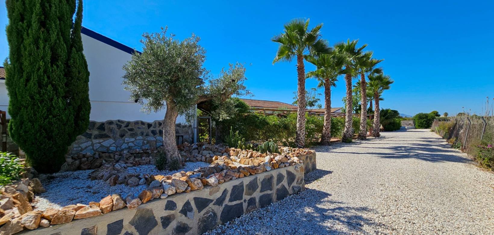 Revente - Finca / Country Property - Catral