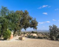 Revente - Finca - Country Property - Fortuna