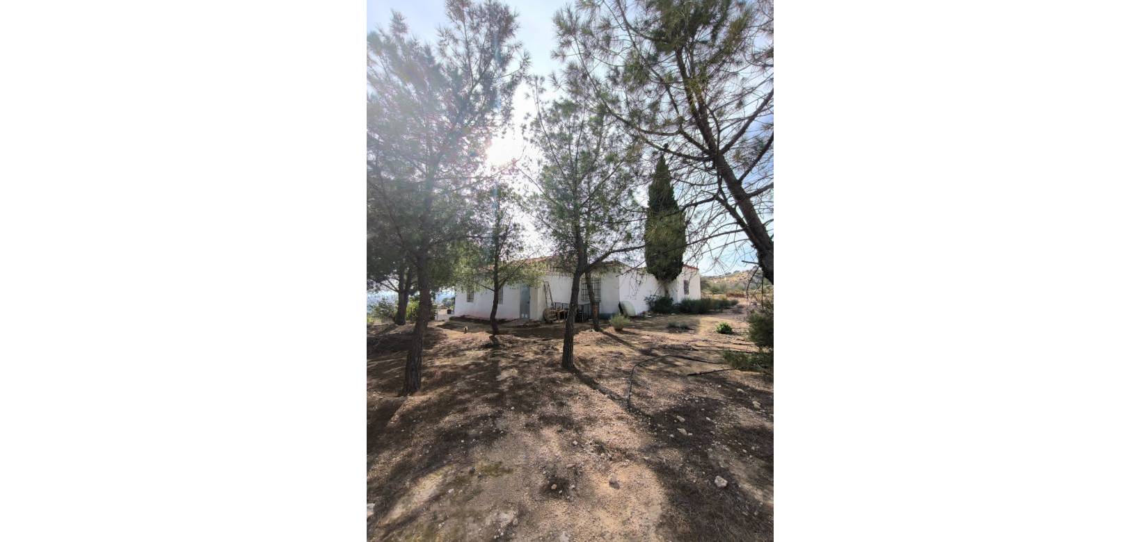 Revente - Finca - Country Property - Fortuna