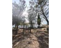 Revente - Finca - Country Property - Fortuna