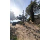 Revente - Finca - Country Property - Fortuna