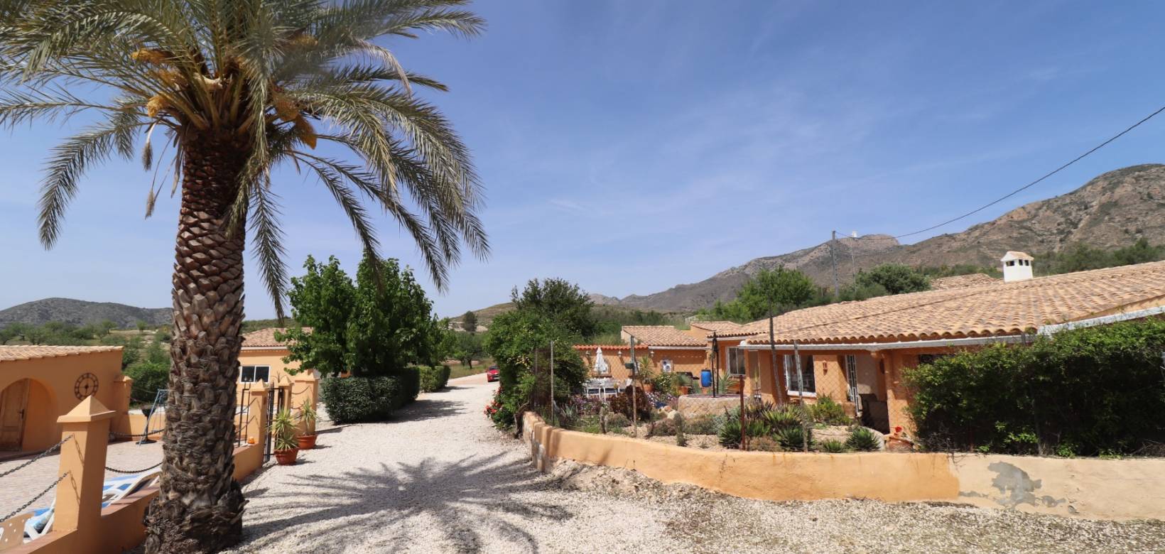 Revente - Finca - Country Property - Hondón de las Nieves - La Canalosa