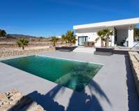 Revente - Finca / Country Property - Pinoso  - Campo