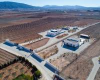 Revente - Finca / Country Property - Pinoso  - Campo