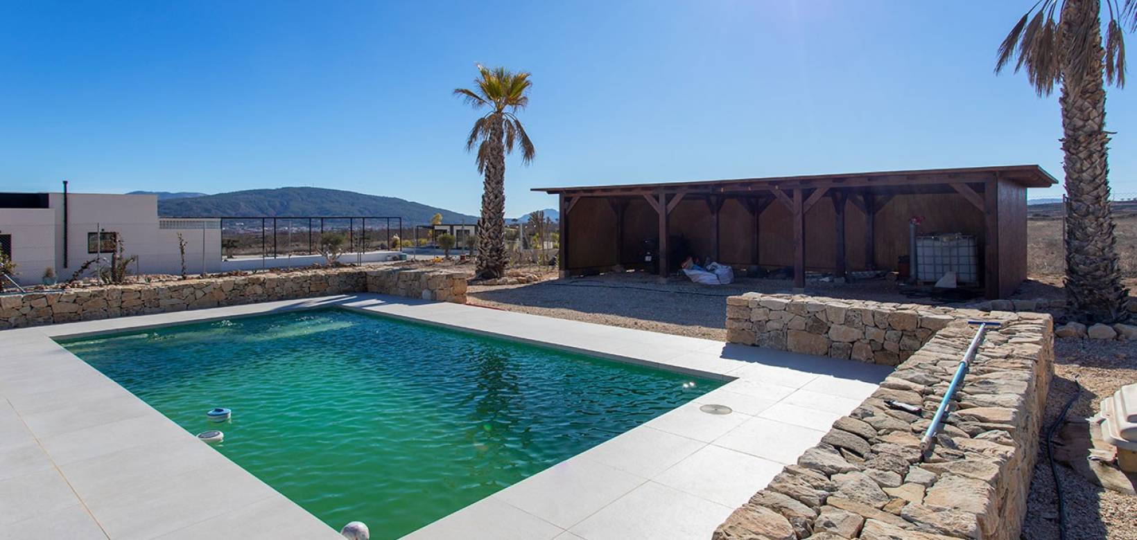 Revente - Finca / Country Property - Pinoso  - Campo