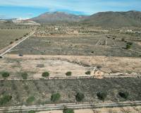 Revente - Grond - Barbarroja