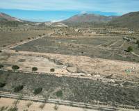 Revente - Grond - Barbarroja