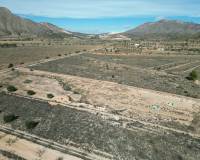 Revente - Grond - Barbarroja