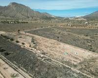 Revente - Grond - Barbarroja