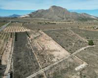 Revente - Grond - Barbarroja