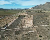 Revente - Grond - Barbarroja