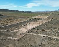 Revente - Grond - Barbarroja