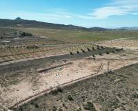 Revente - Grond - Barbarroja