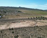 Revente - Grond - Barbarroja