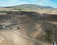 Revente - Grond - Lel