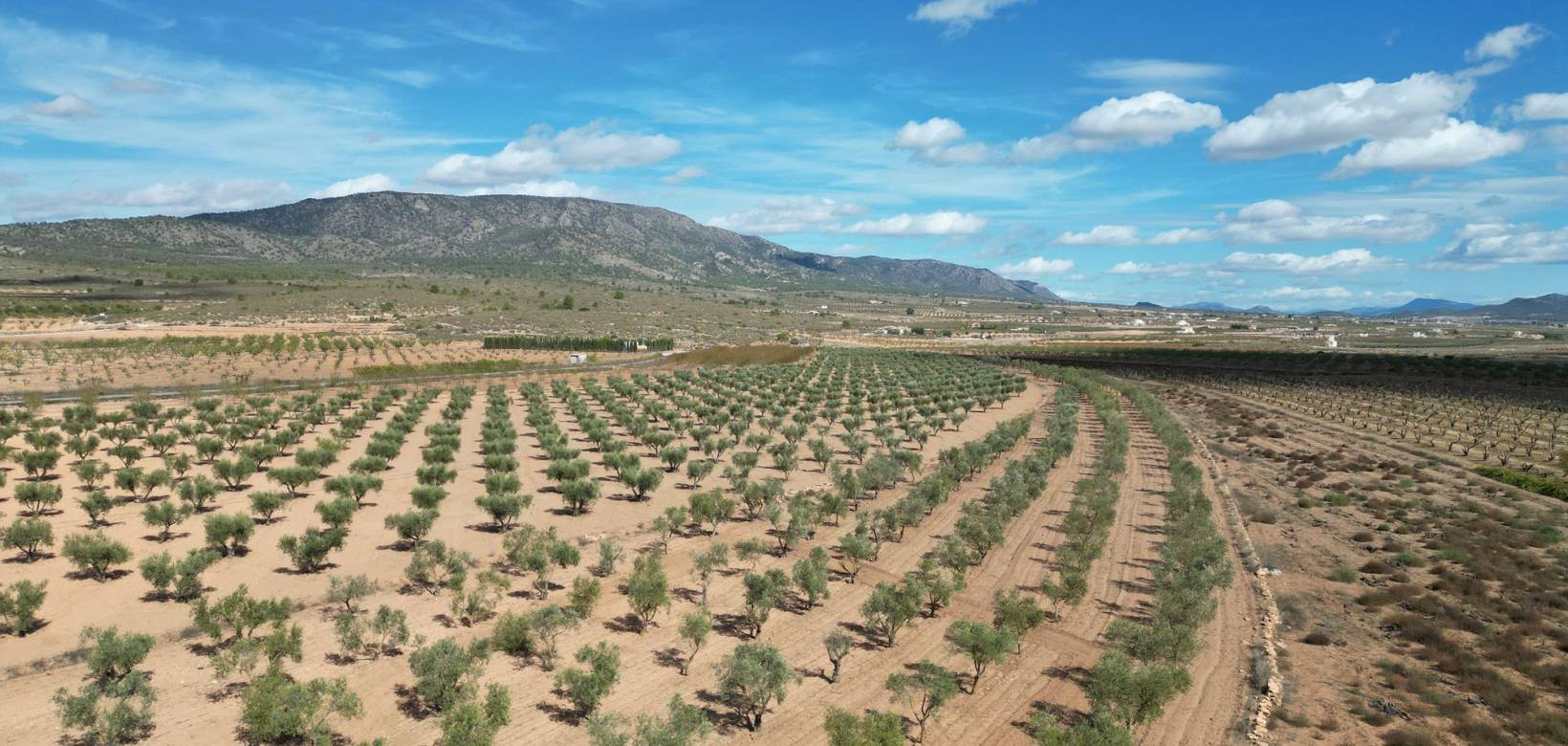 Revente - Grond - Lel