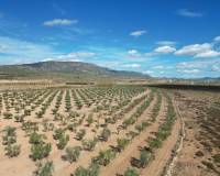 Revente - Grond - Lel