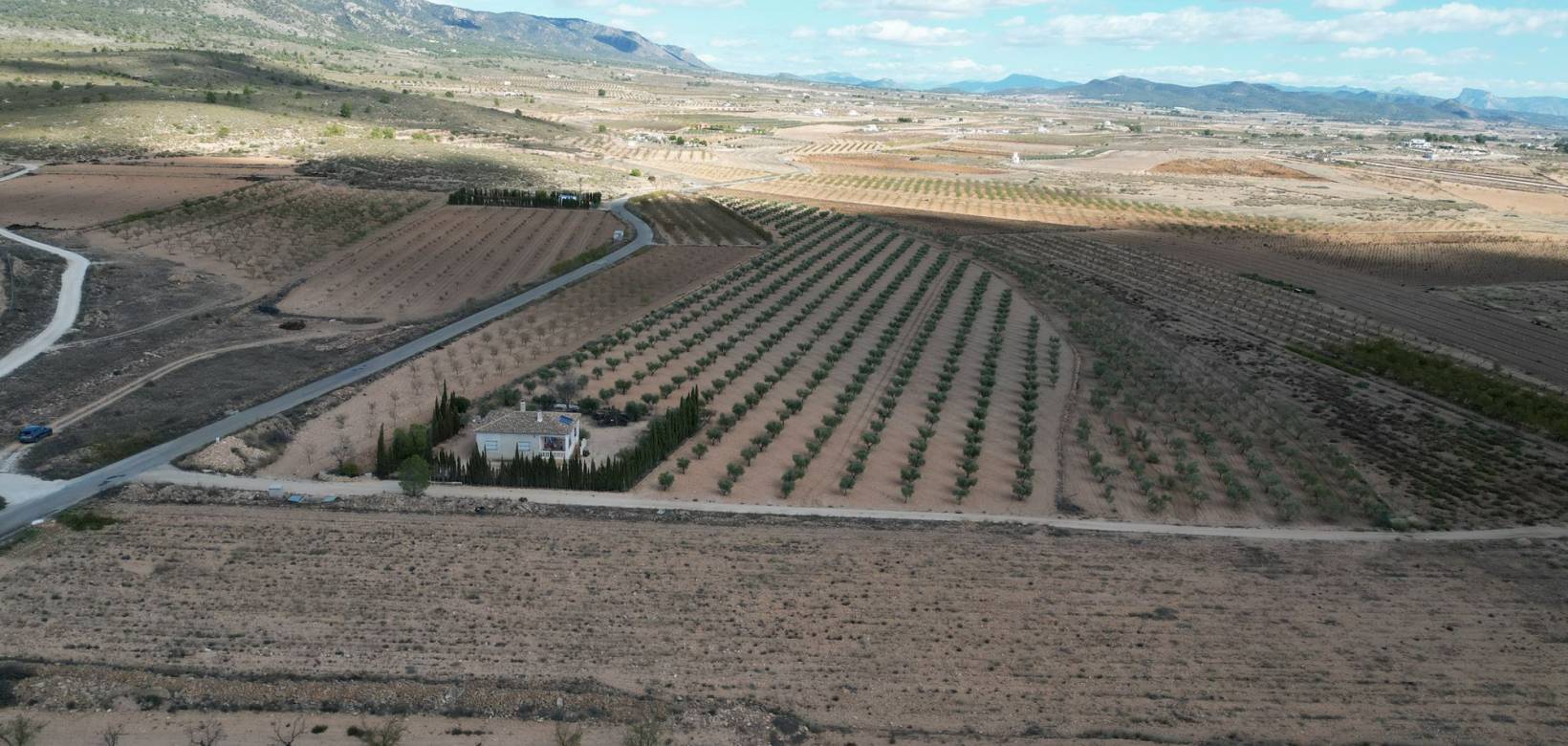 Revente - Grond - Lel