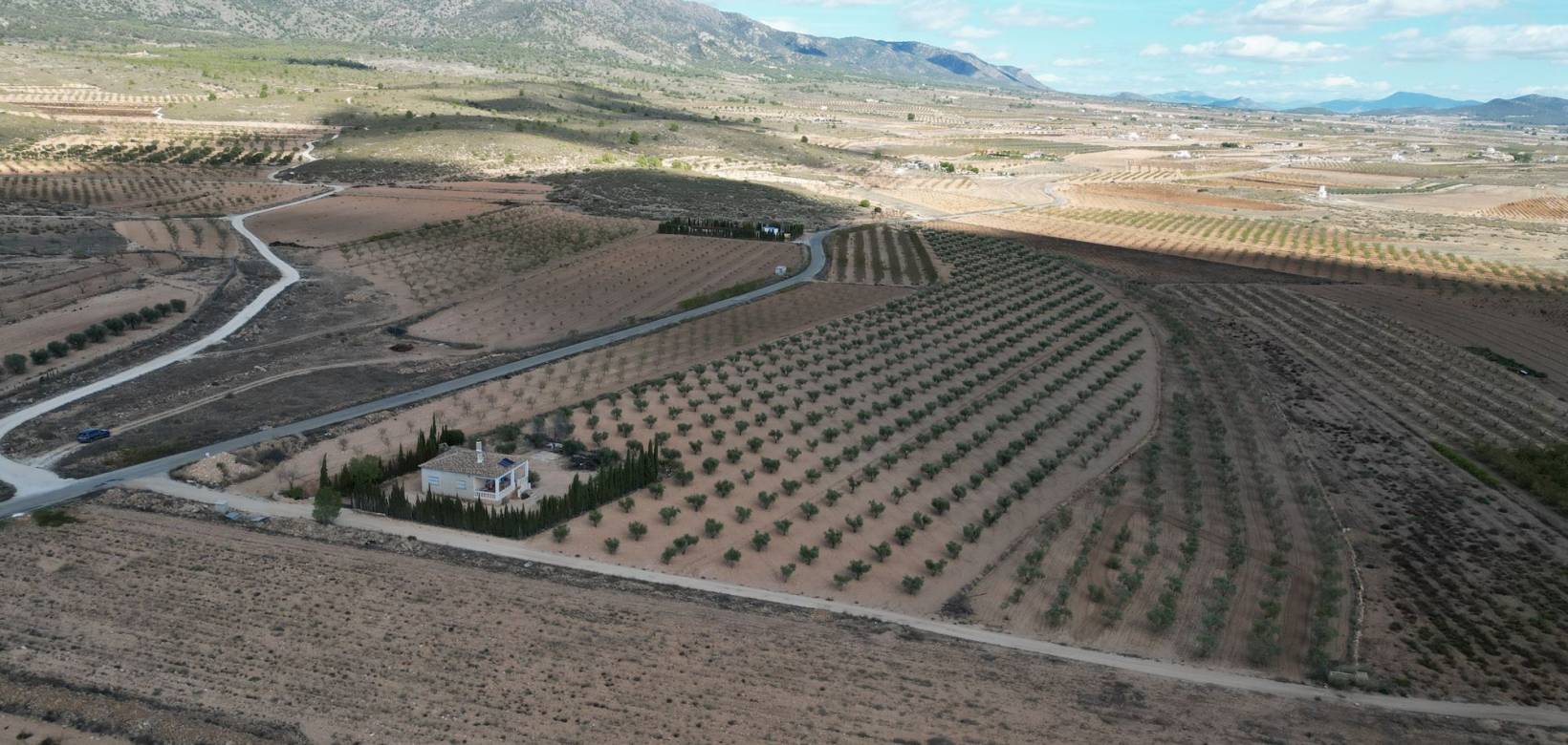 Revente - Grond - Lel