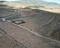 Revente - Grond - Lel