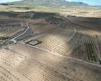 Revente - Grond - Lel