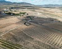 Revente - Grond - Lel