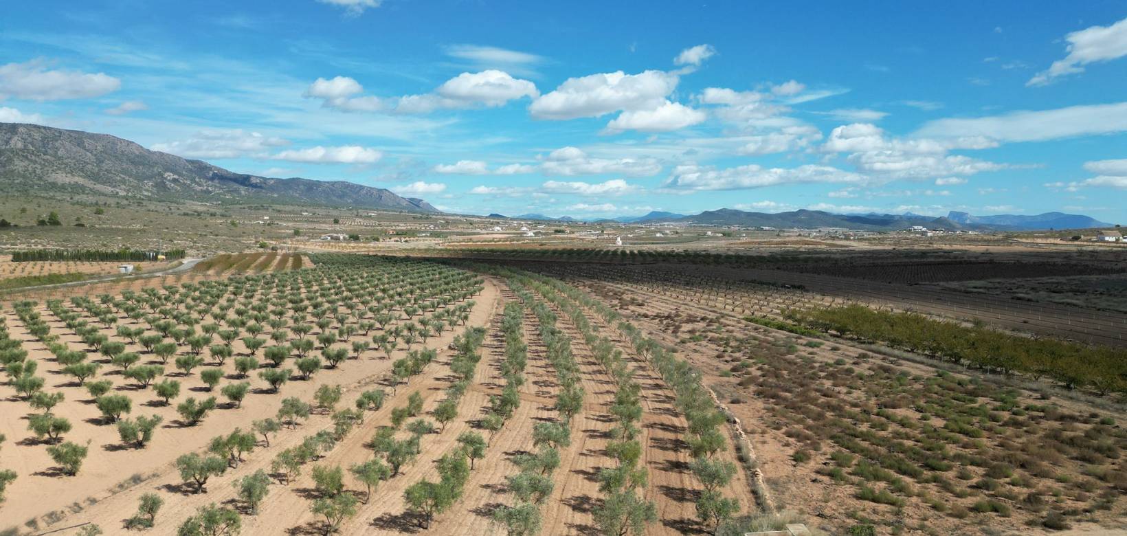 Revente - Grond - Lel