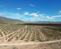 Revente - Grond - Lel