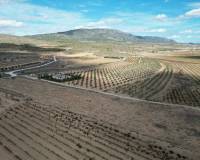 Revente - Grond - Lel