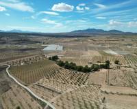 Revente - Grond - Pinoso  - Pinoso