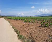 Revente - Grond - Pinoso  - Pinoso