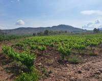 Revente - Grond - Pinoso  - Pinoso