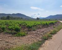 Revente - Grond - Pinoso  - Pinoso