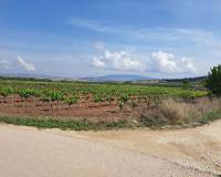 Revente - Grond - Pinoso  - Pinoso