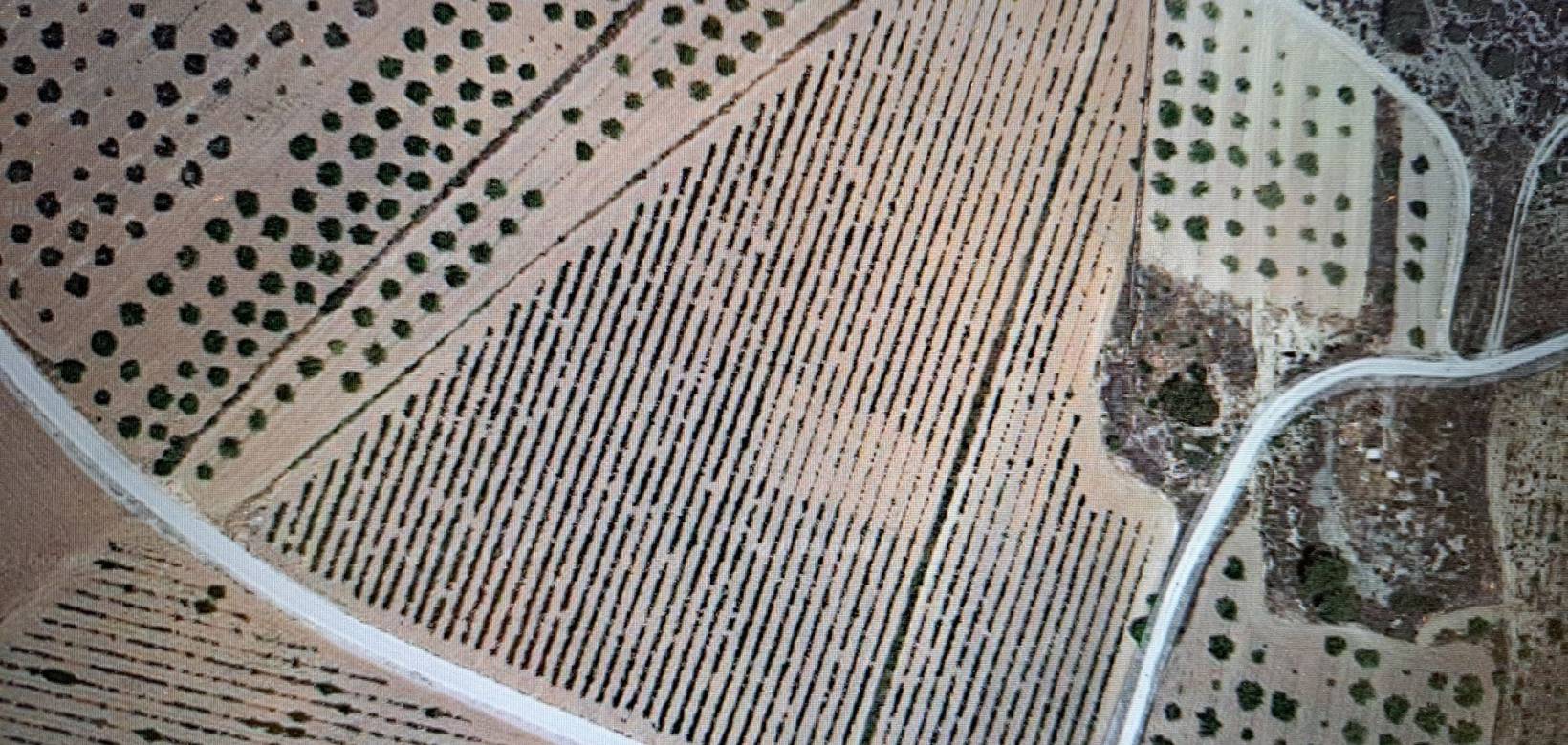 Revente - Grond - Pinoso  - Pinoso