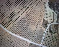 Revente - Grond - Pinoso  - Pinoso