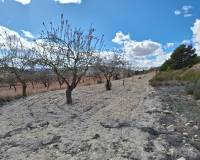 Revente - Grond - Pinoso  - Pinoso