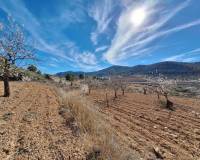 Revente - Grond - Pinoso  - Pinoso