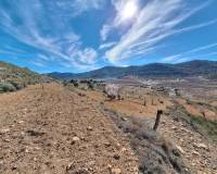 Revente - Grond - Pinoso  - Pinoso