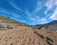 Revente - Grond - Pinoso  - Pinoso