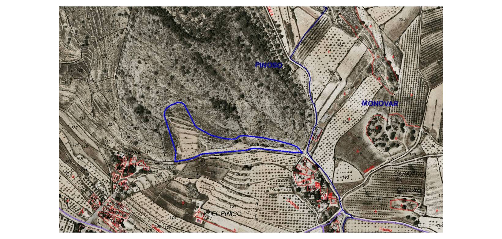 Revente - Grond - Pinoso  - Pinoso