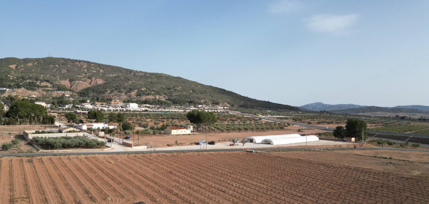 Revente - Grond - Pinoso  - Pinoso