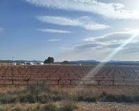 Revente - Grond - Pinoso  - Pinoso