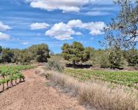 Revente - Grond - Pinoso  - Pinoso